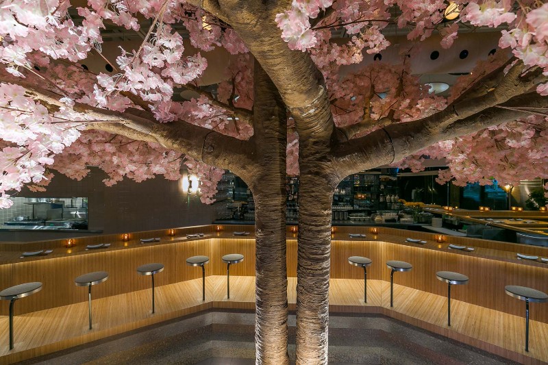 A Japanese Restaurant In Montreal With A Blossom Tree Stole Our Hearts
