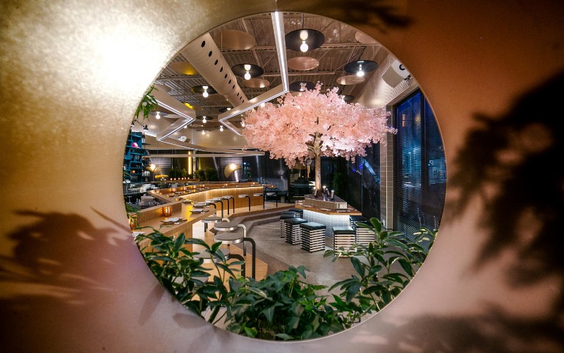 A Japanese Restaurant In Montreal With A Blossom Tree Stole Our Hearts